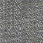 Ocular